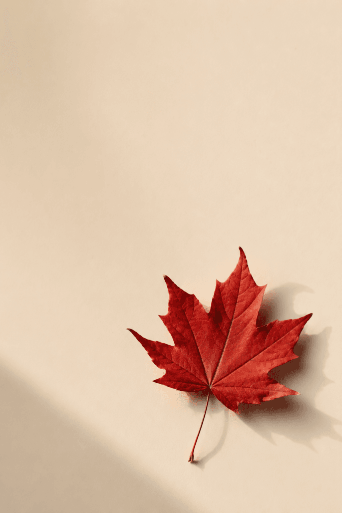 fall AI background prompts